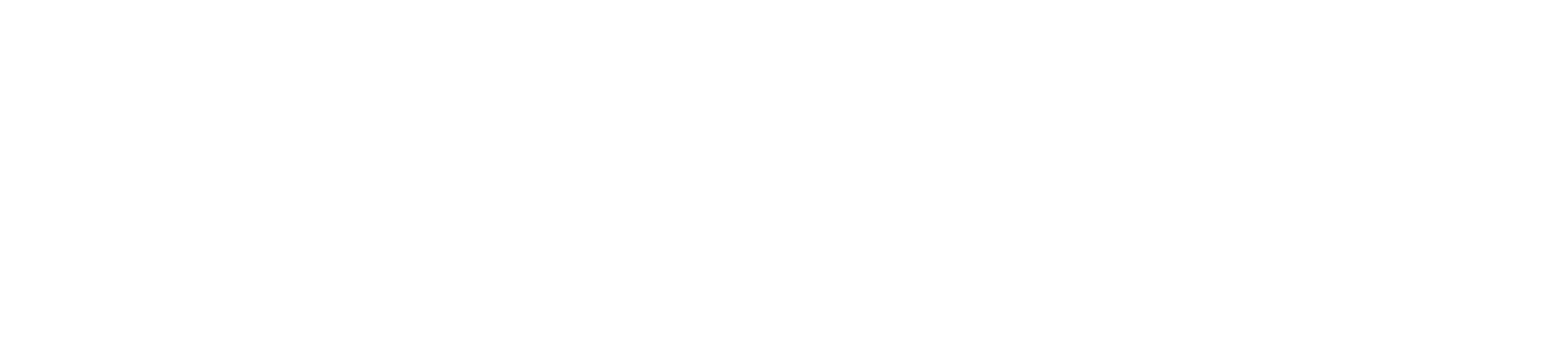 Prestige – Professional Haircut